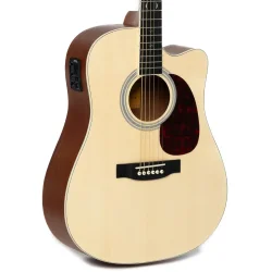 Santana Player D12 NA Western Guitar Nature
